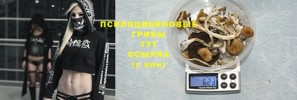 дурь Алексеевка