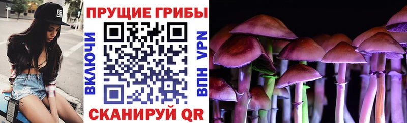Псилоцибиновые грибы Cubensis  Далматово 